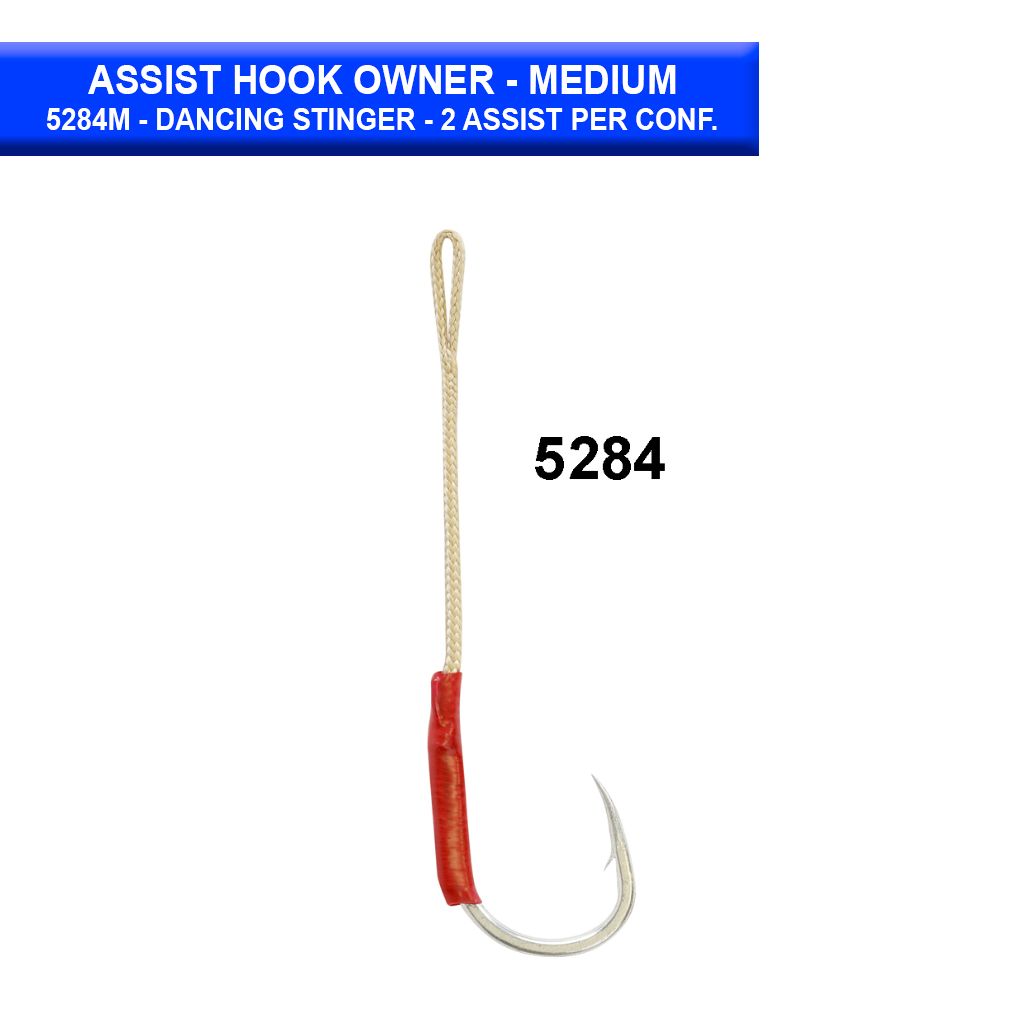 assist-hook-owner-5284M