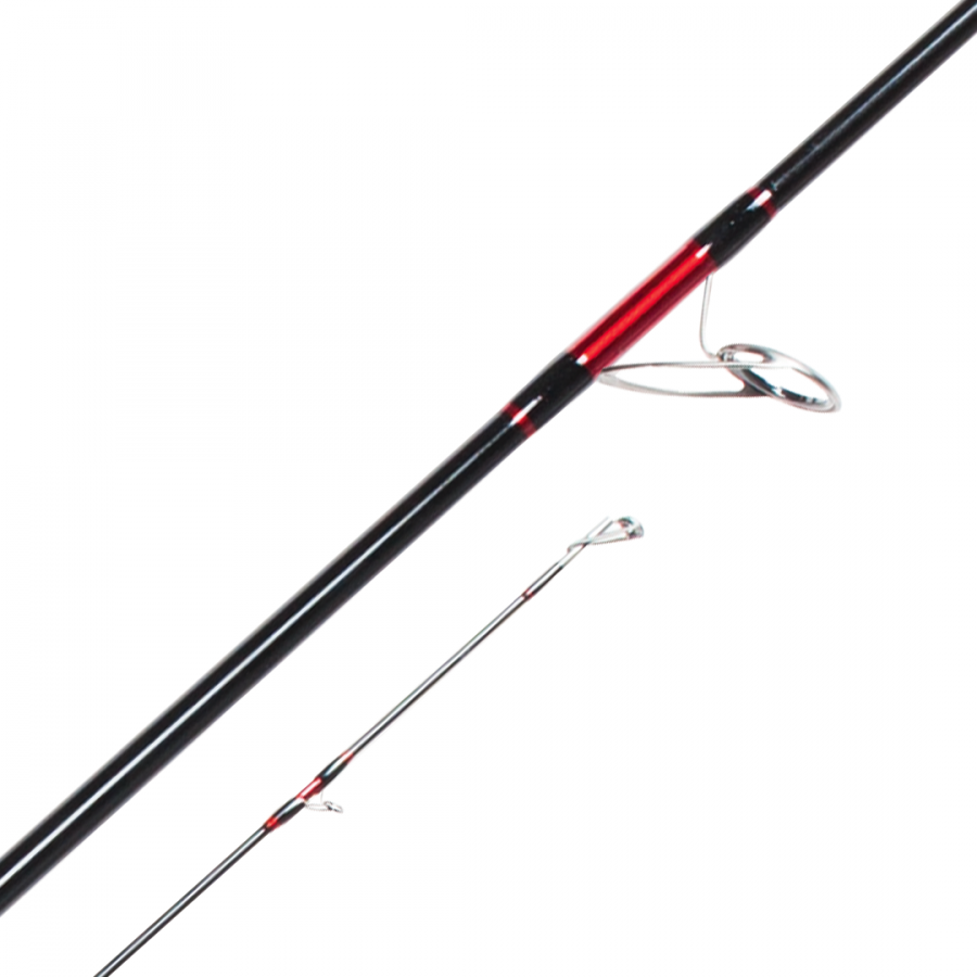 CANNA SELE ONLY SPINN - immagine 3