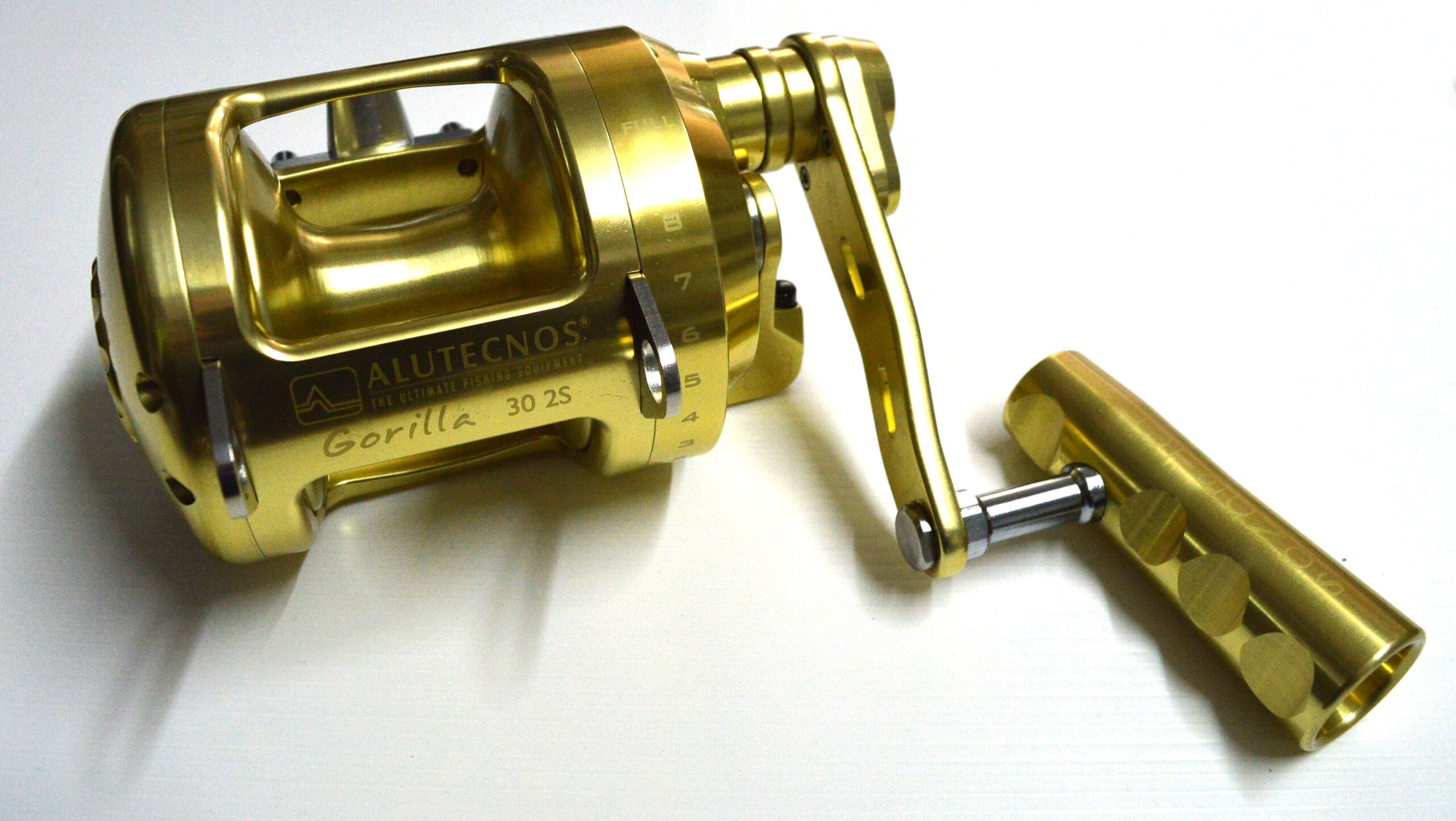 302sgorilla-gold_1.jpg 302sgorilla-gold_1.jpg