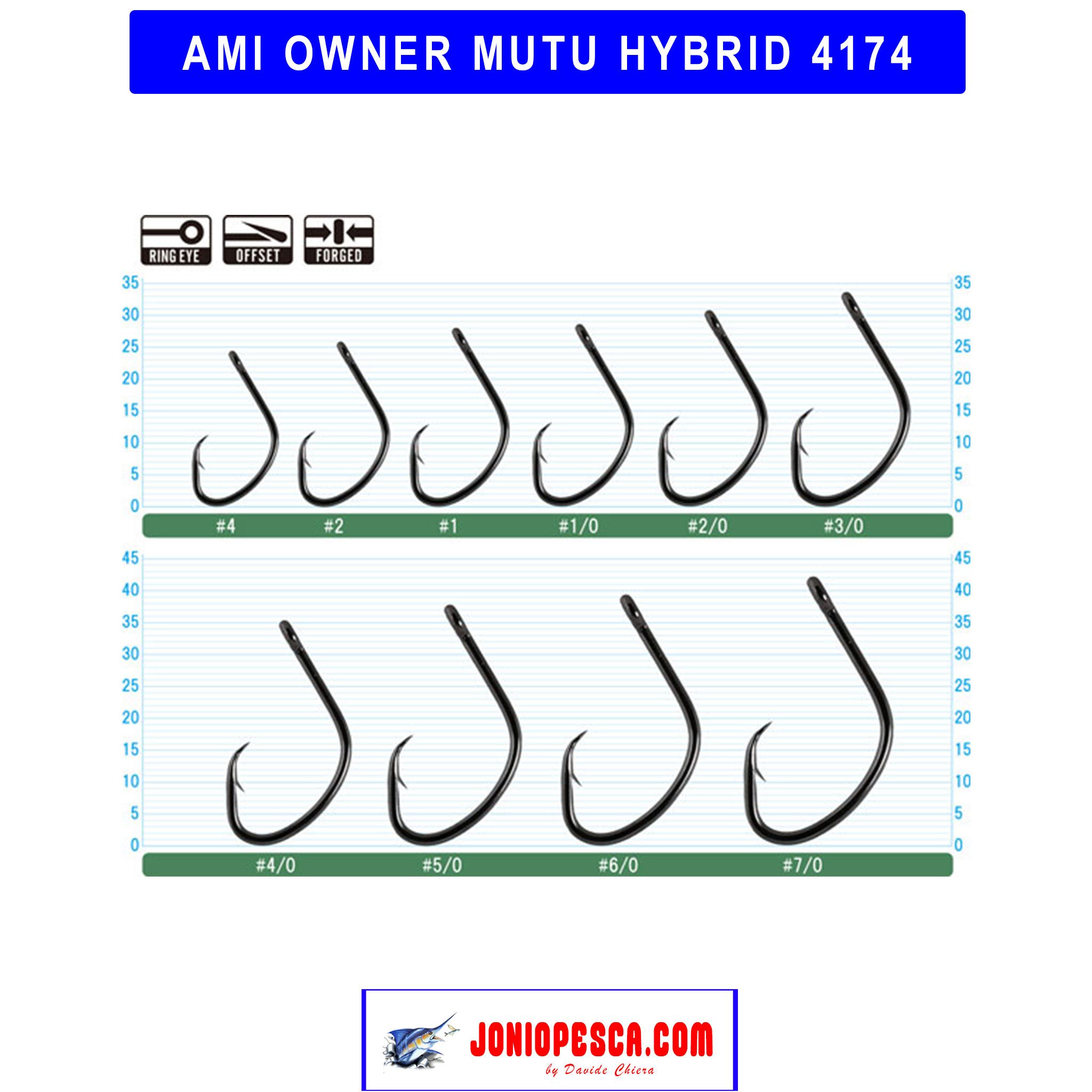 ami-owner-mutu-hybrid-4174-1