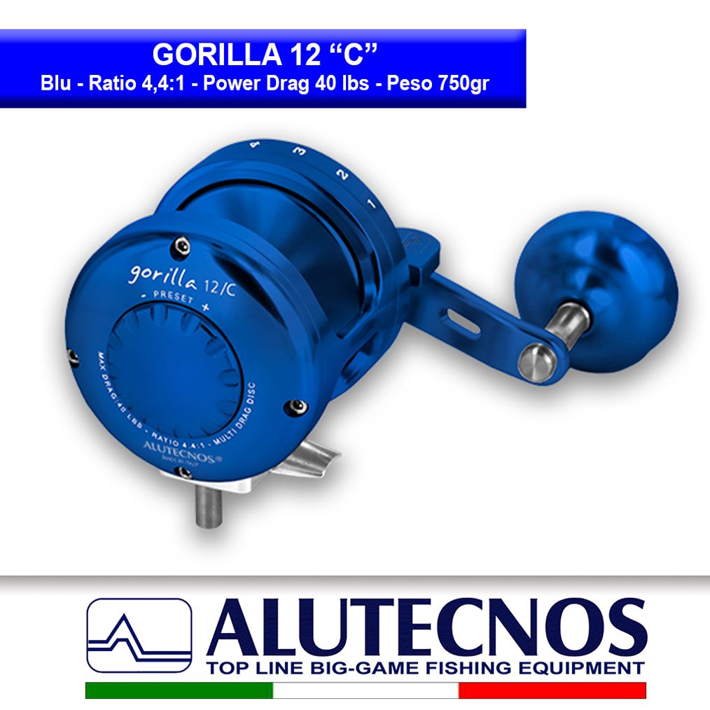 gorilla-12-C-blu