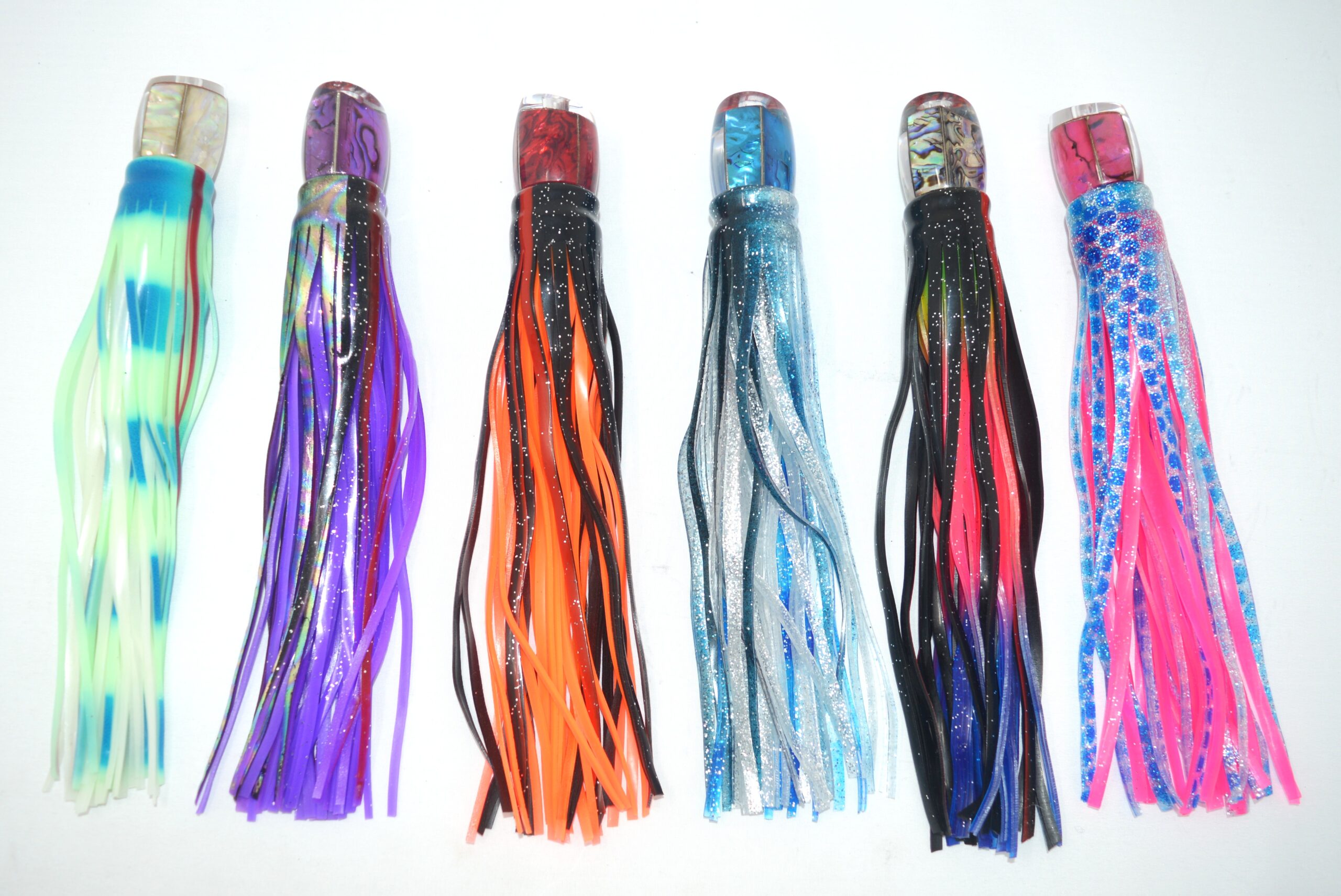 KONA HEAD ABALON PREMIUM (22 CM)