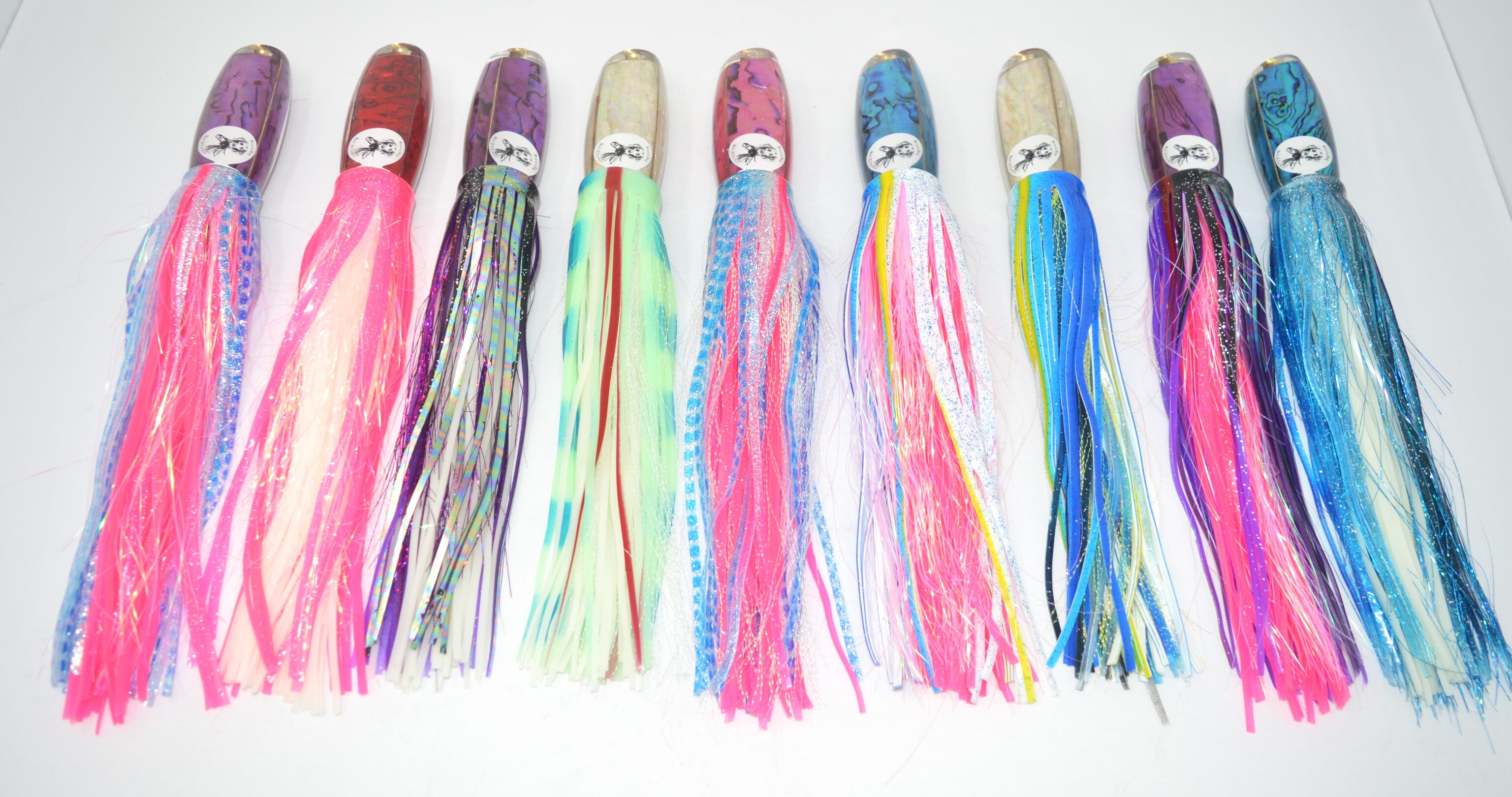 PREMIUM BILL FISH KONA ABALONE SHELLS + FLASHABOU