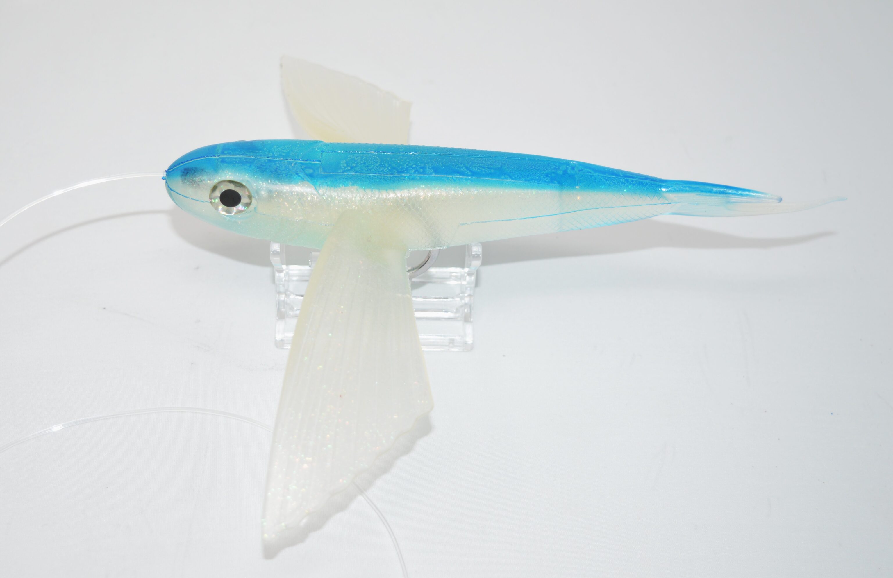 RIGGED FLYING FISH (PESCE VOLANTE)